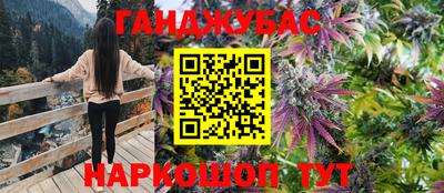 прущие грибы Дубна