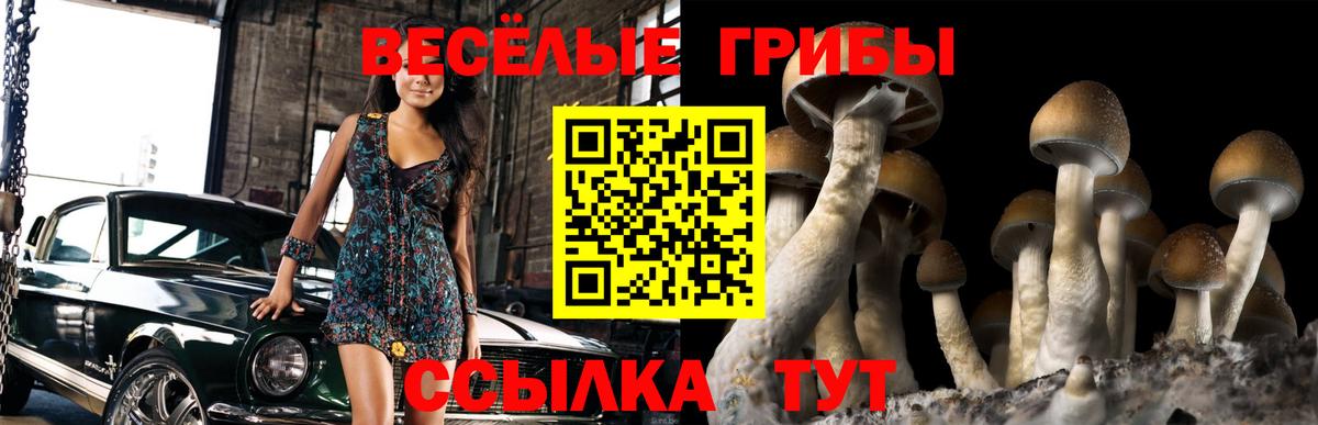 закладки  Вход с VPN  Губкин  Галлюциногенные грибы Cubensis 